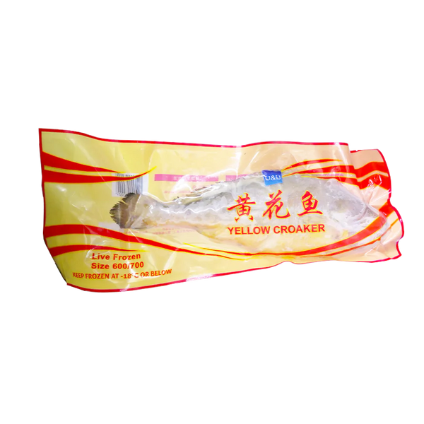 YY Yellow Croaker 600g - YY 大号黄花鱼600克