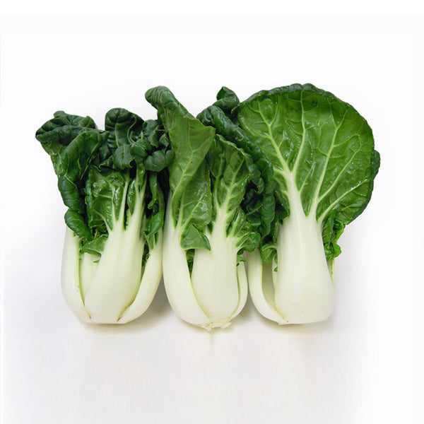 Guangdong Bok Choy (Bag) - 广东小白菜(袋)