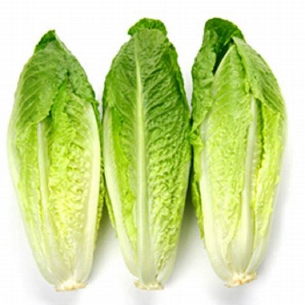 Cos Lettuce (Ea) - 唐生菜(棵)