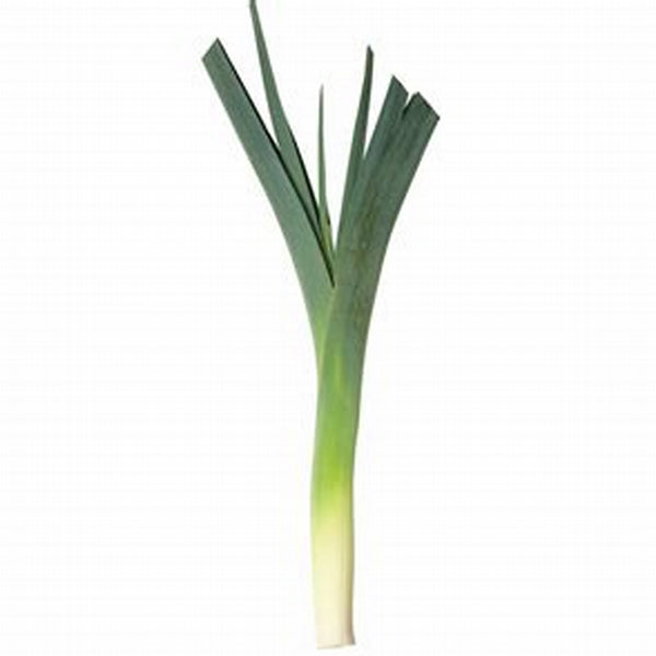 Leek (Each) - 大蒜(条)