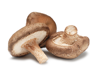 Shiitake Mushroom (Punnet) - 香菇/盒