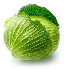 Cabbage (Each) - 椰菜(个)